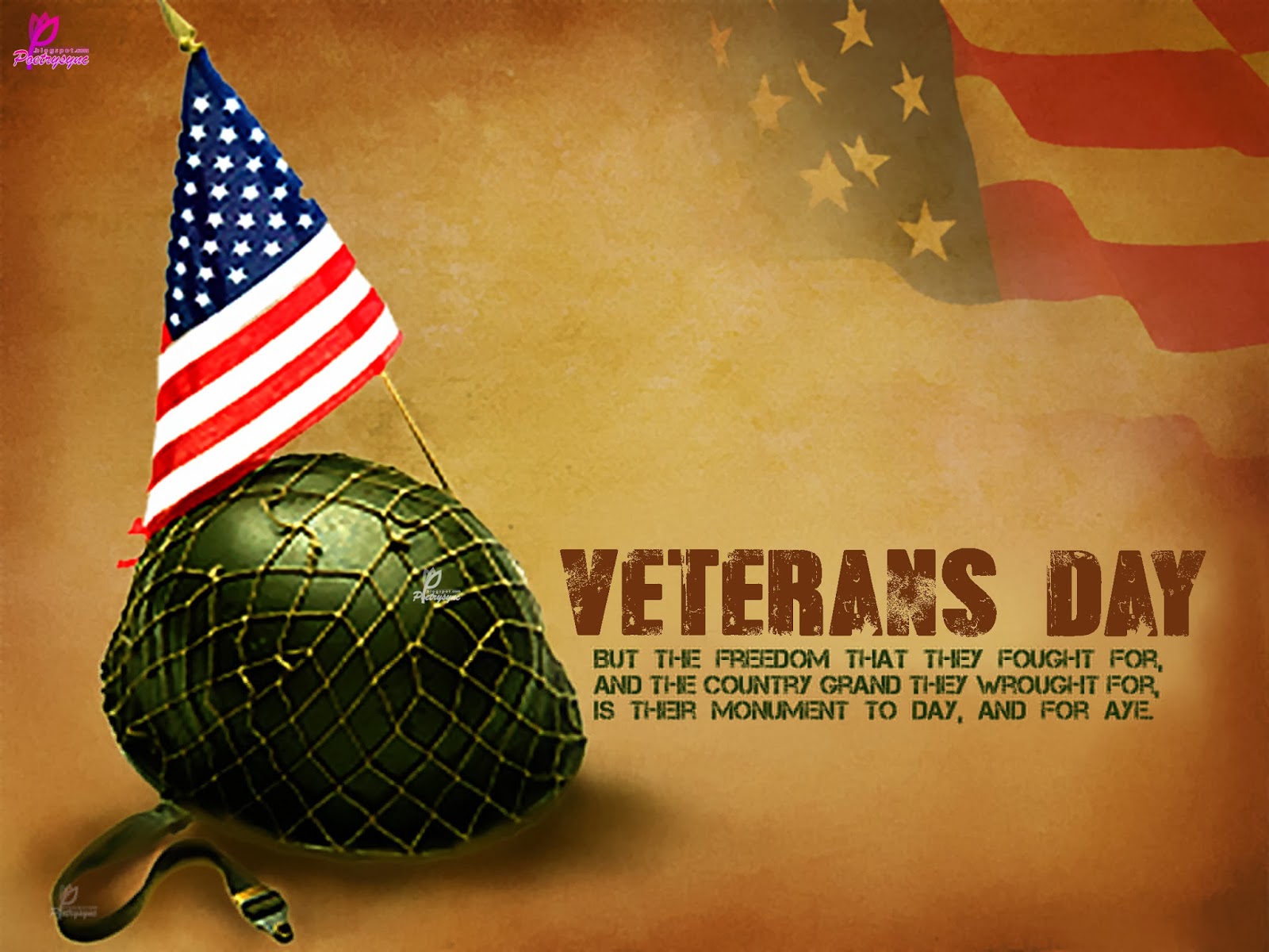 Detail Veterans Day Thank You Quotes Nomer 52