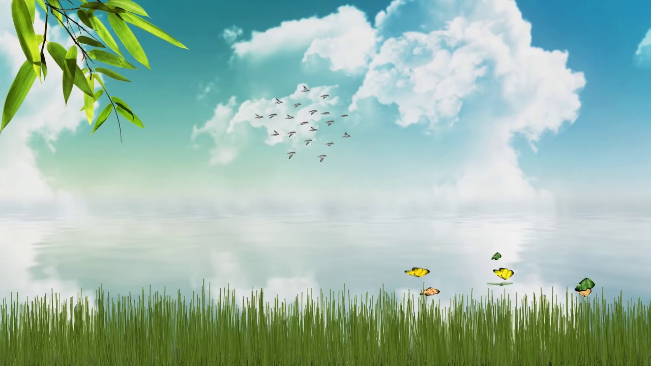Detail Video Background Bergerak Nomer 2