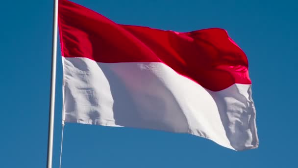 Detail Video Bendera Merah Putih Berkibar Nomer 27