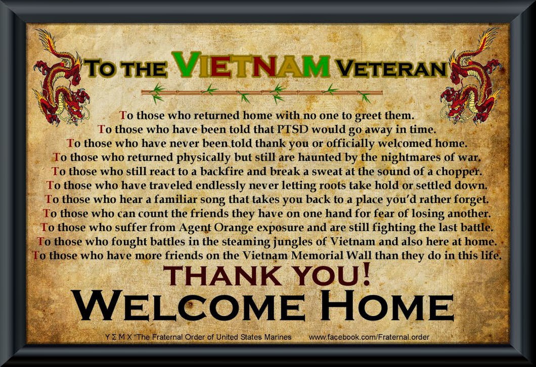 Detail Vietnam War Veteran Quotes Nomer 22