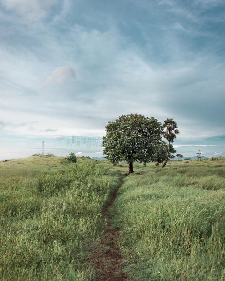 View Pemandangan Alam - KibrisPDR