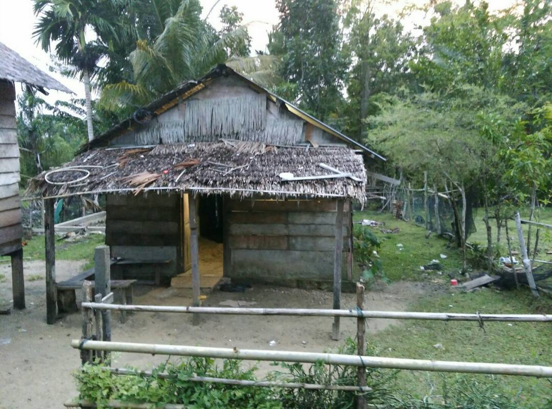 Rumah Gubuk Bambu 54+ Koleksi Gambar