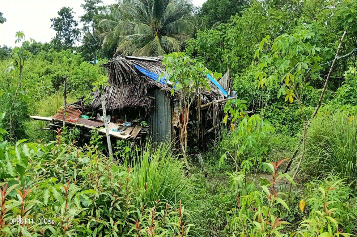 Detail Rumah Gubuk Reot Nomer 33