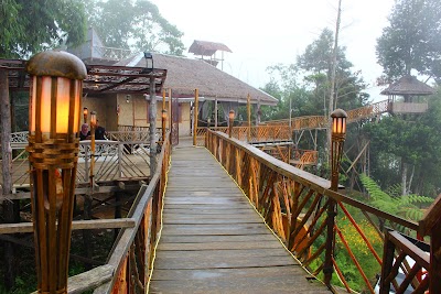 Detail Rumah Habitat Langkat Nomer 48