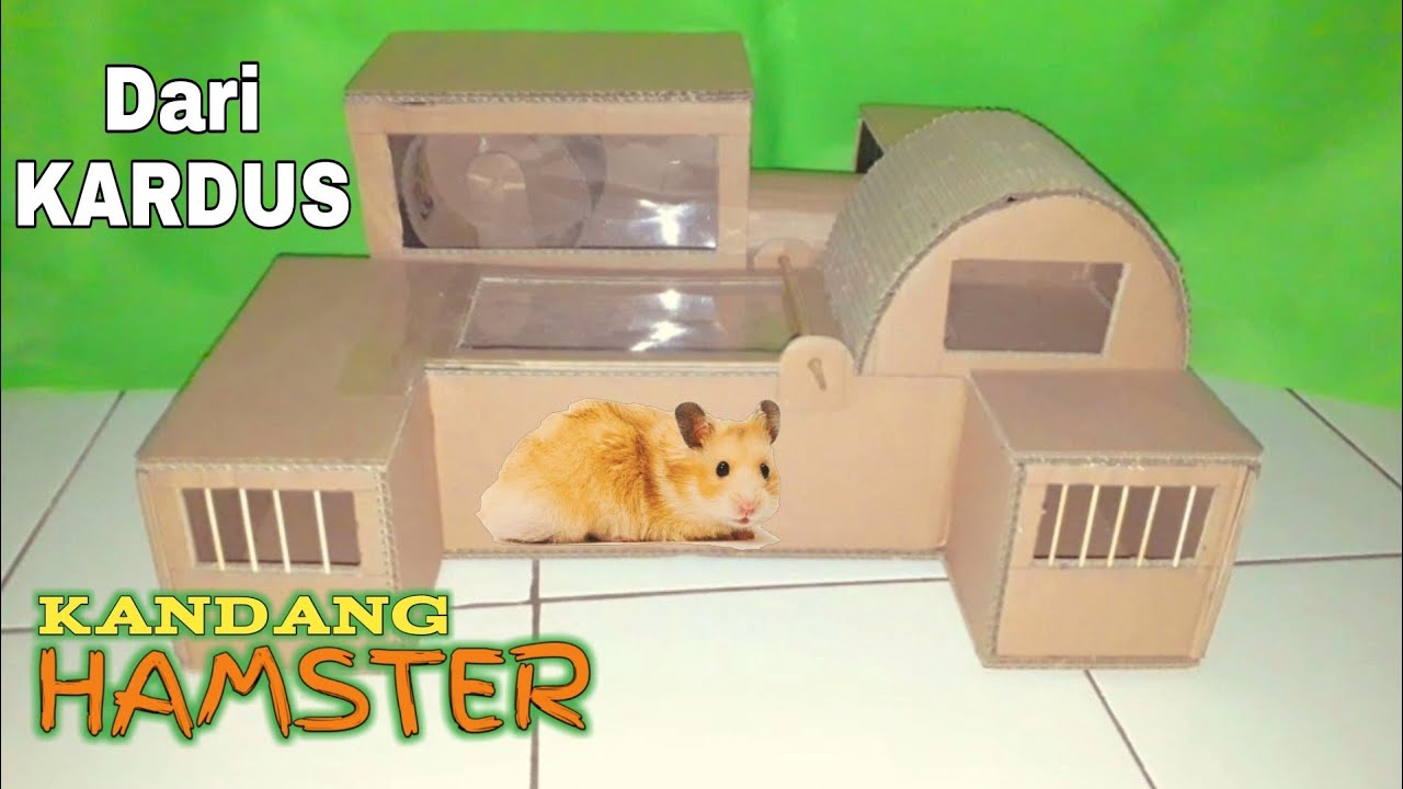 Rumah Hamster Dari Kardus - KibrisPDR