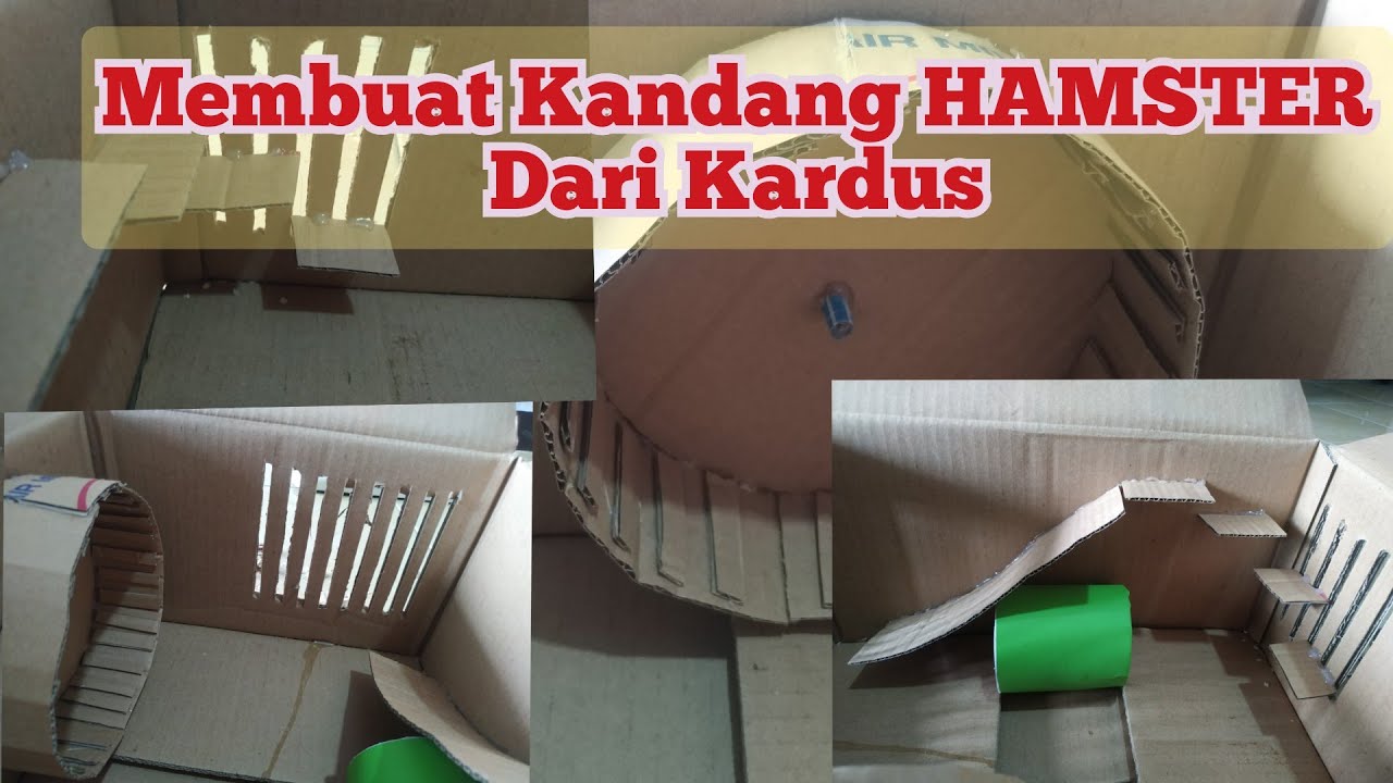 Detail Rumah Hamster Dari Kardus Nomer 2