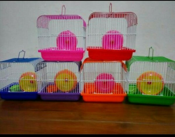 Detail Rumah Hamster Dari Kardus Nomer 16