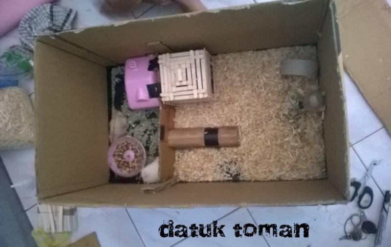 Detail Rumah Hamster Dari Kardus Nomer 3