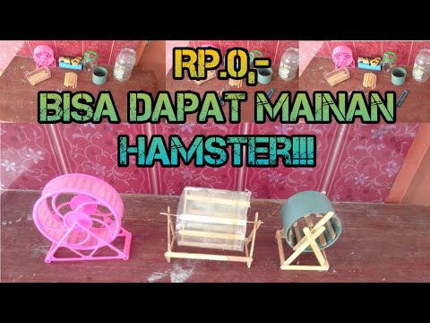 Download Rumah Hamster Dari Kardus Nomer 43