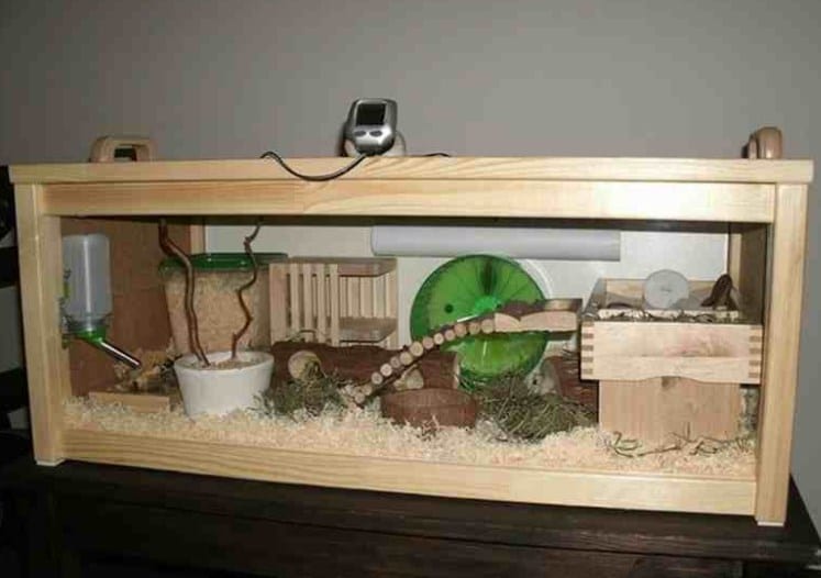 Detail Rumah Hamster Dari Kardus Nomer 6