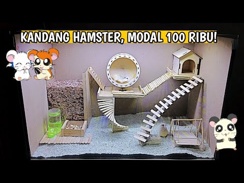 Detail Rumah Hamster Dari Kardus Nomer 52