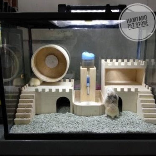 Detail Rumah Hamster Dari Kardus Nomer 8