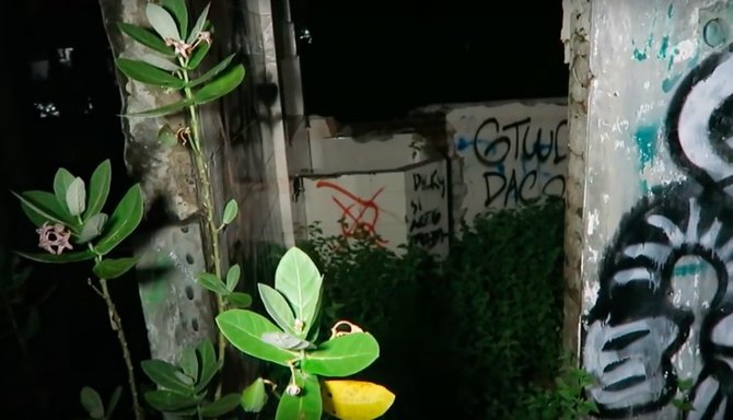Detail Rumah Hantu Darmo Di Surabaya Nomer 54