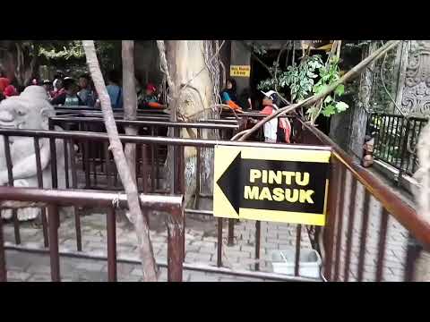 Detail Rumah Hantu Jatim Park 3 Nomer 24