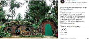 Detail Rumah Hobbit Bogor Nomer 21