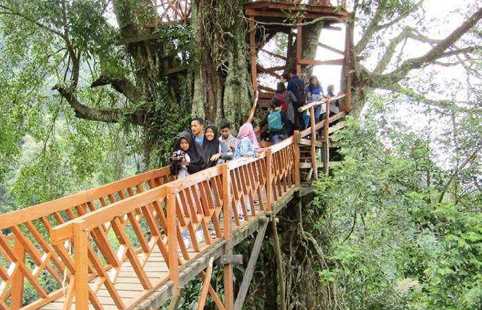 Detail Rumah Hobbit Bogor Nomer 25