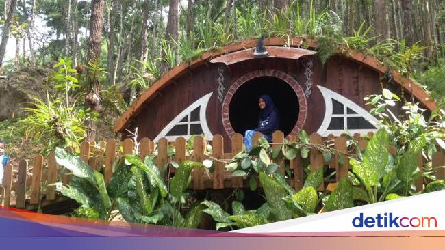 Download Rumah Hobbit Jogja Nomer 38