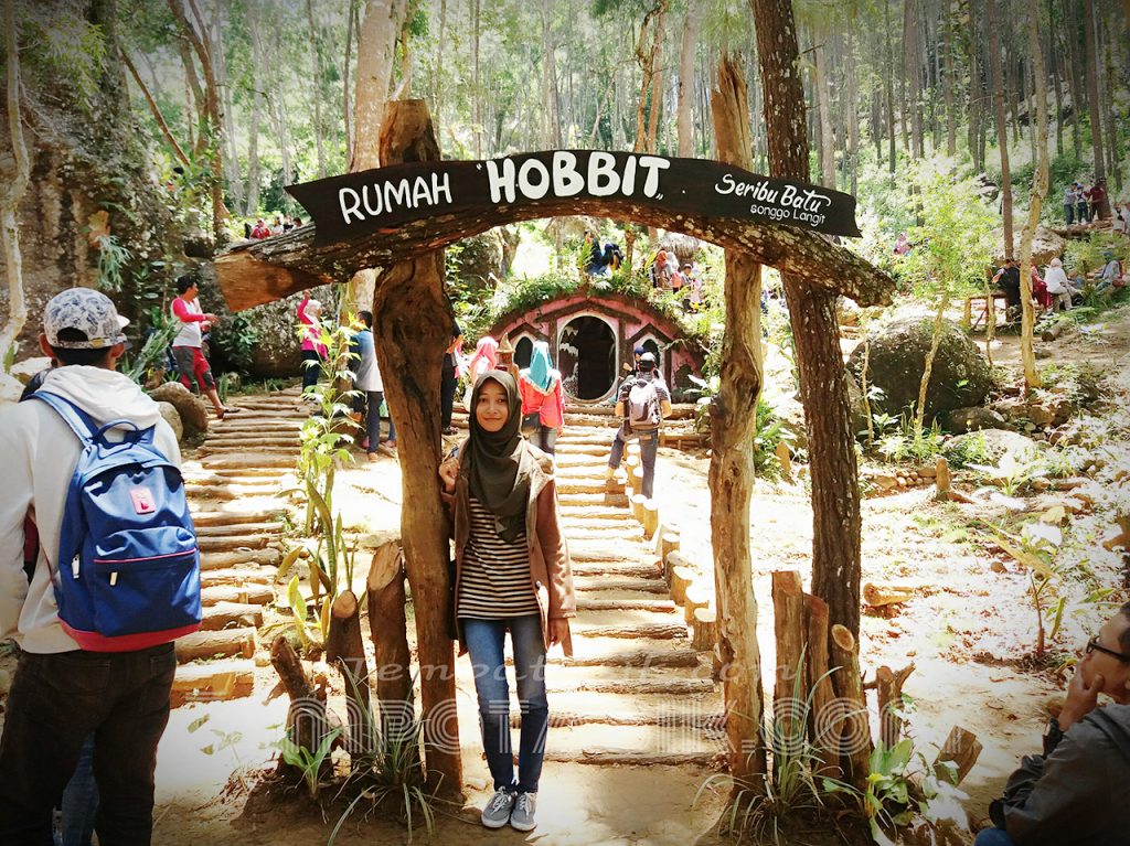 Detail Rumah Hobbit Yogyakarta Nomer 33