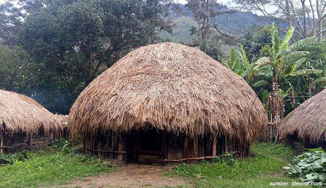 Detail Rumah Honai Khas Papua Memiliki Lantai Berupa Nomer 11