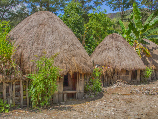 Detail Rumah Honai Khas Papua Memiliki Lantai Berupa Nomer 19