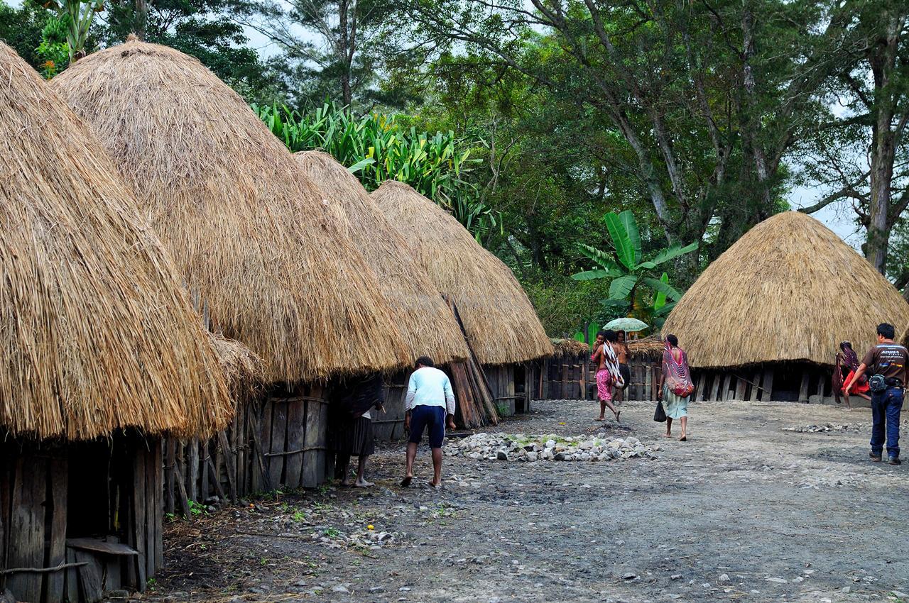 Detail Rumah Honai Khas Papua Memiliki Lantai Berupa Nomer 5