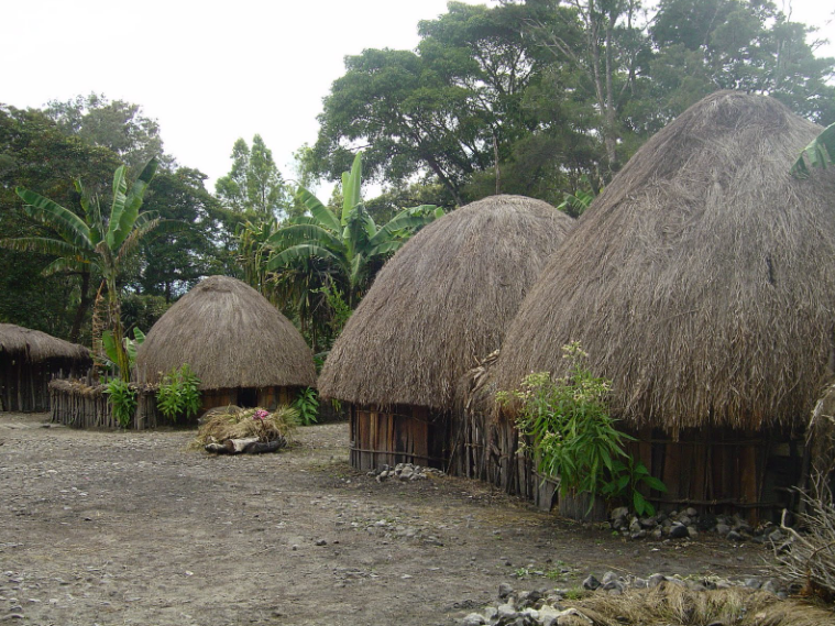 Detail Rumah Honai Khas Papua Memiliki Lantai Berupa Nomer 51
