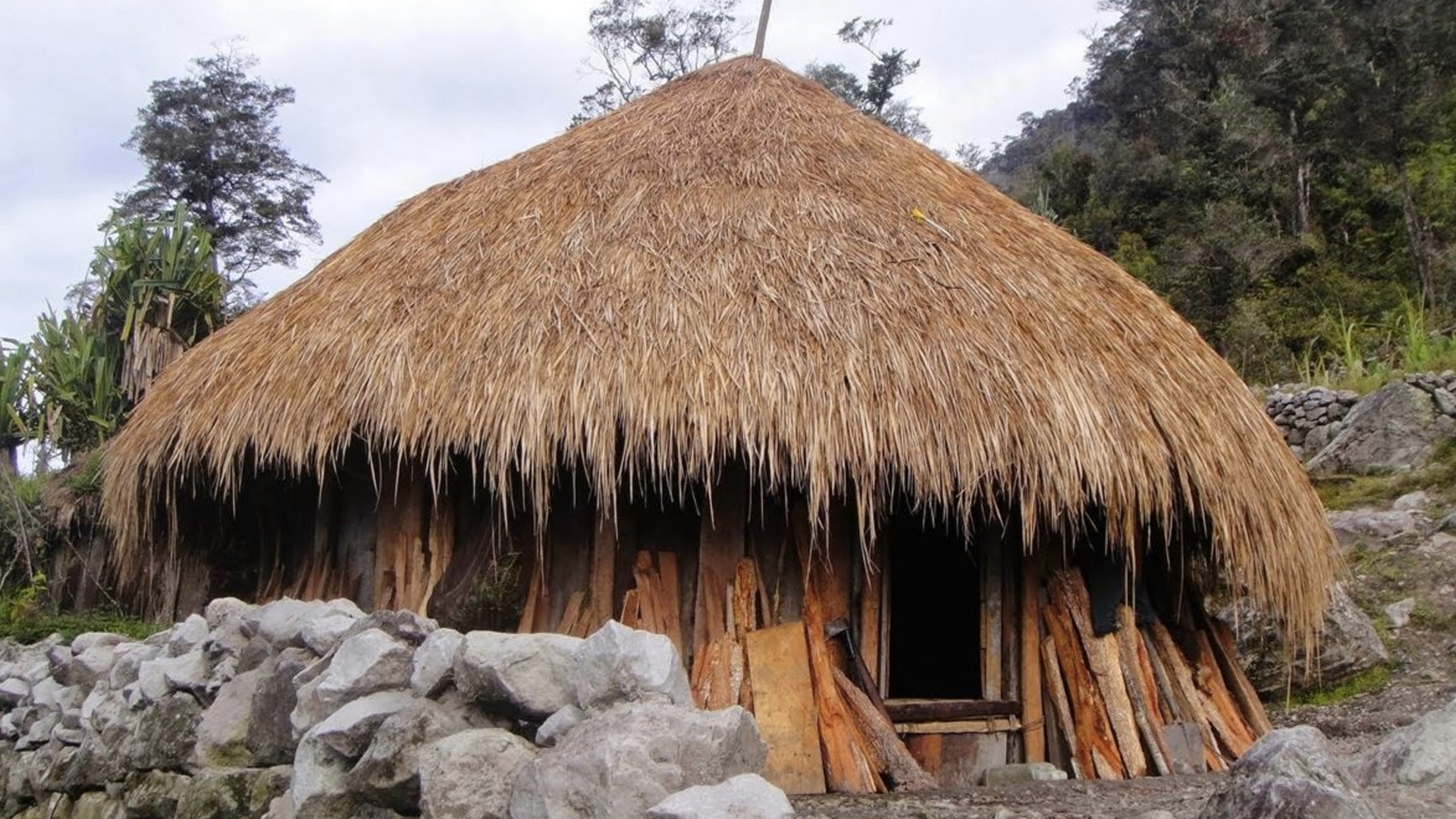 Detail Rumah Honai Papua Nomer 4
