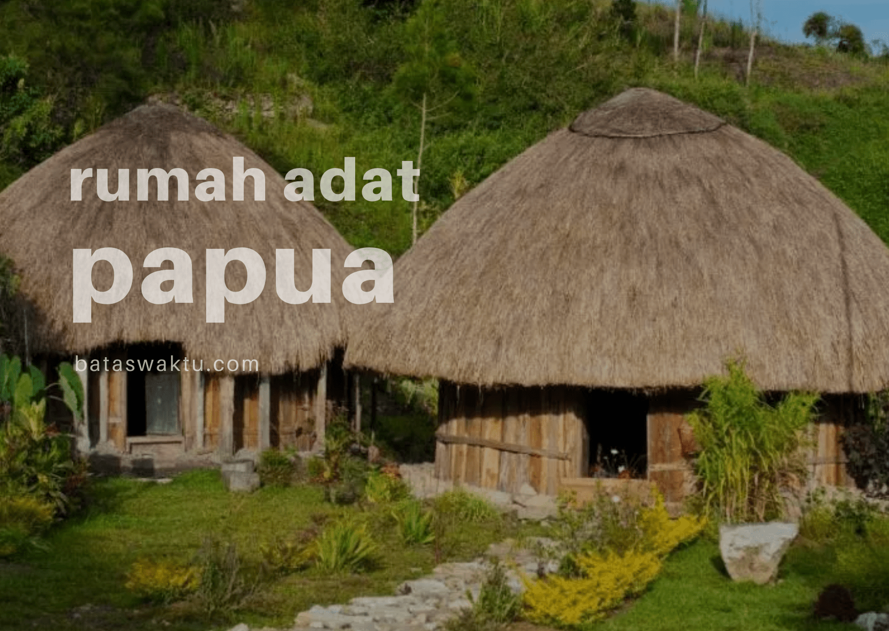 Detail Rumah Honai Papua Nomer 30