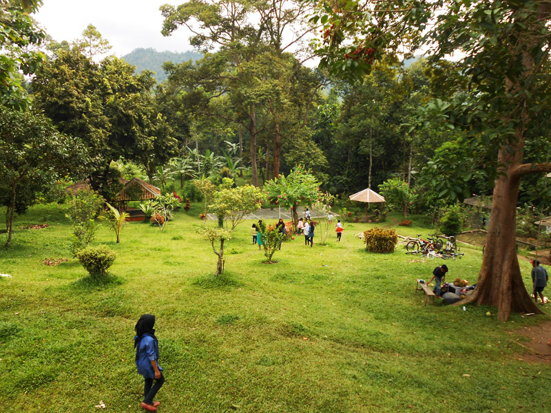 Detail Rumah Hutan Serang Nomer 17