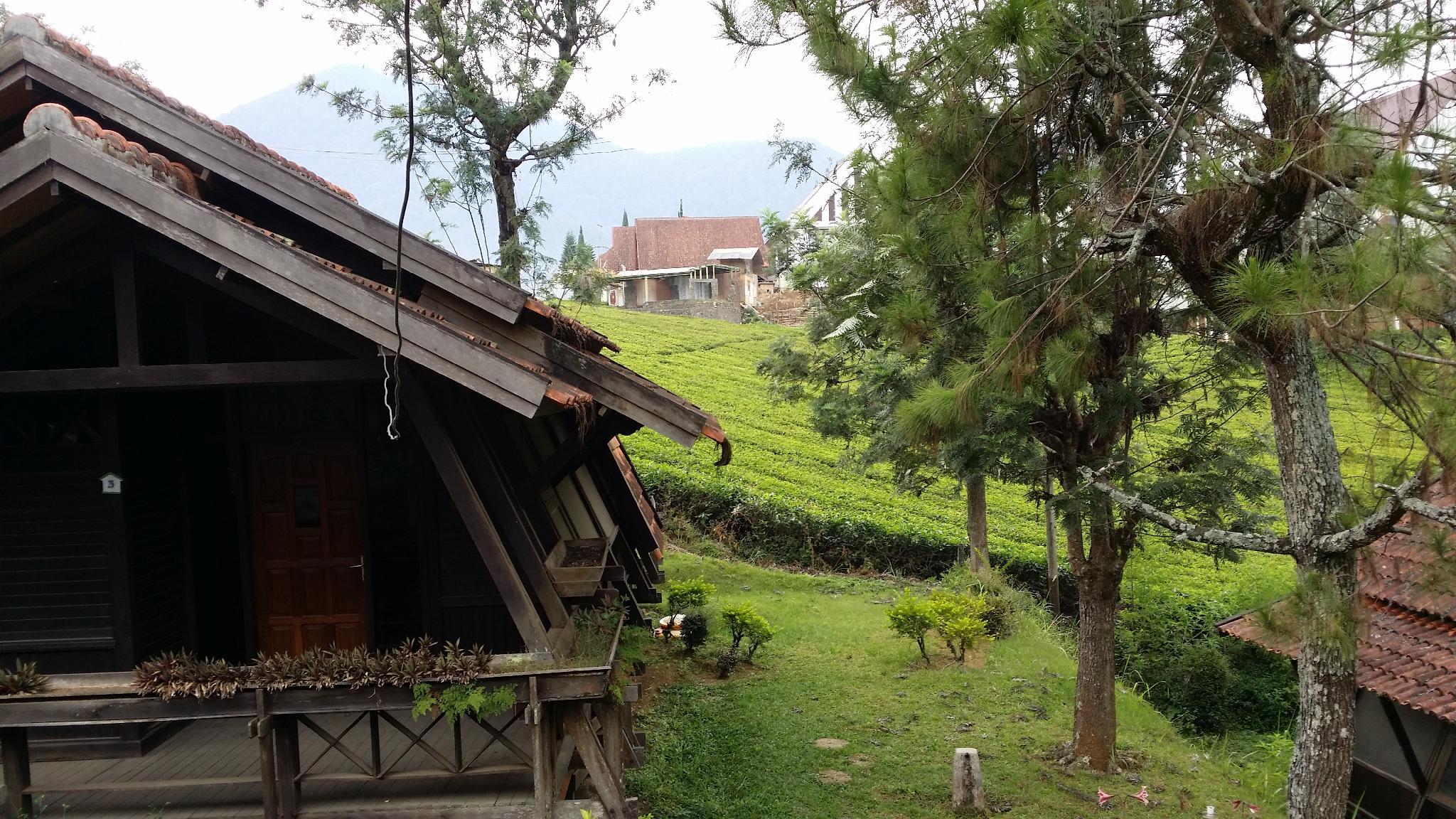 Detail Villa Ciwidey Rumah Kayu Nomer 19