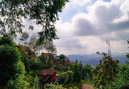 Detail Villa Rumah Murah Di Puncak Dibawah 500 Ribu Nomer 29