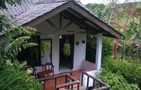 Detail Villa Rumah Murah Di Puncak Dibawah 500 Ribu Nomer 41