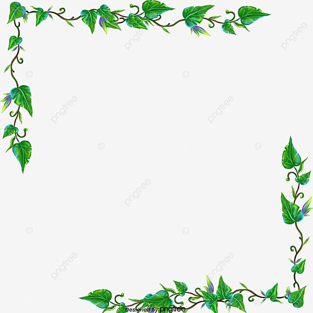 Detail Vine Clipart Transparent Background Nomer 25