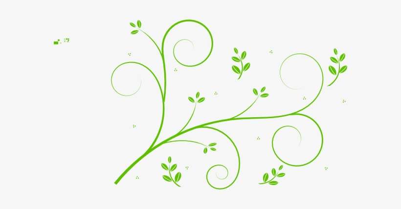 Detail Vine Clipart Transparent Background Nomer 48