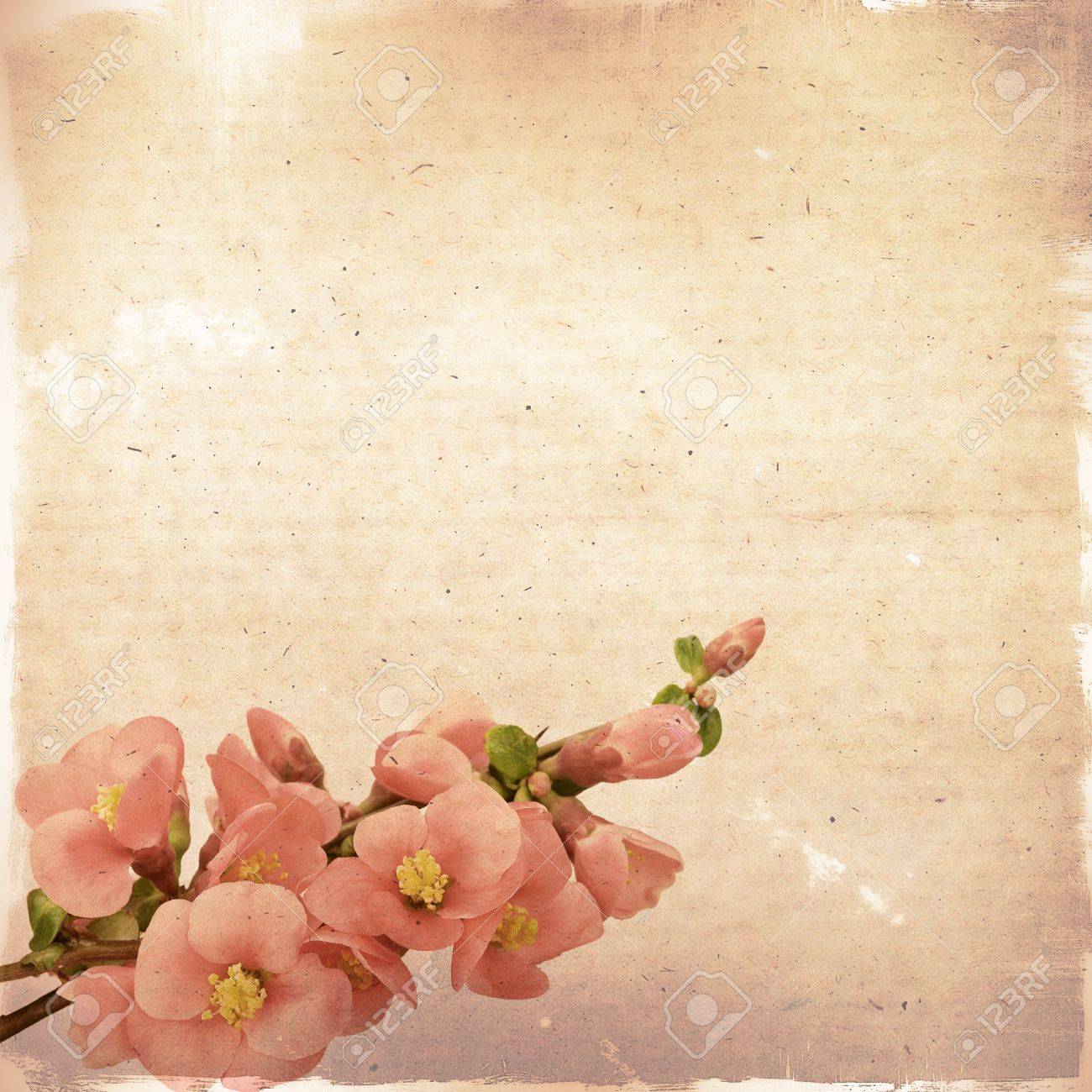 Detail Vintage Background Flower Nomer 36
