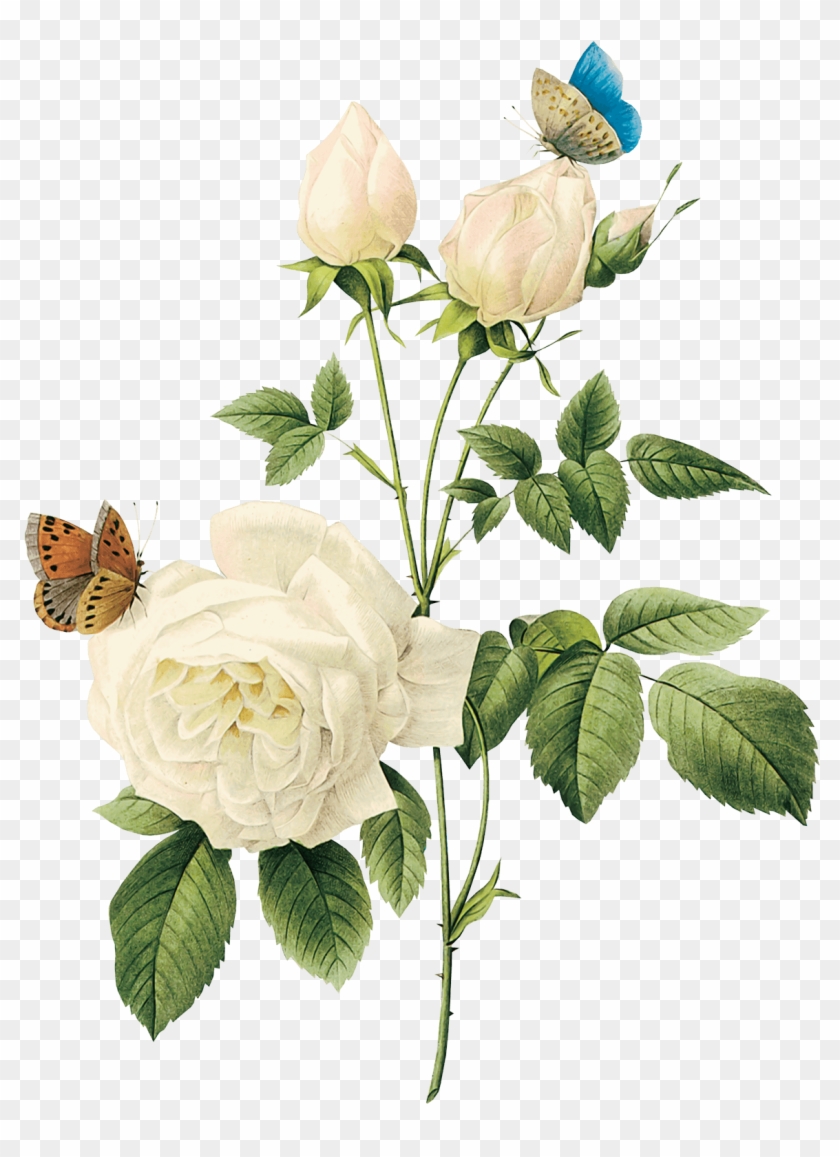 Detail Vintage Flower Background Vector Free Download Nomer 42