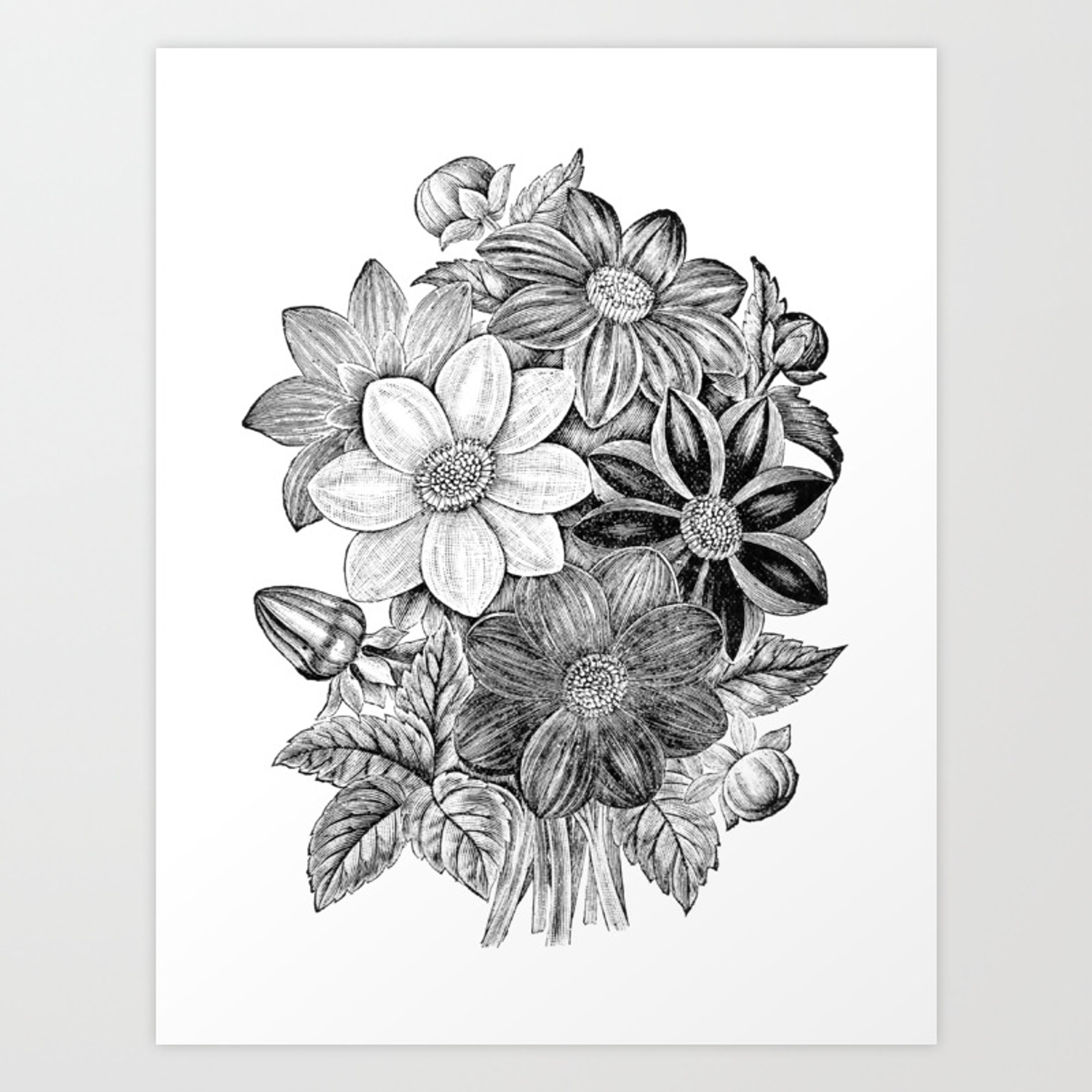 Vintage Flower Black And White - KibrisPDR