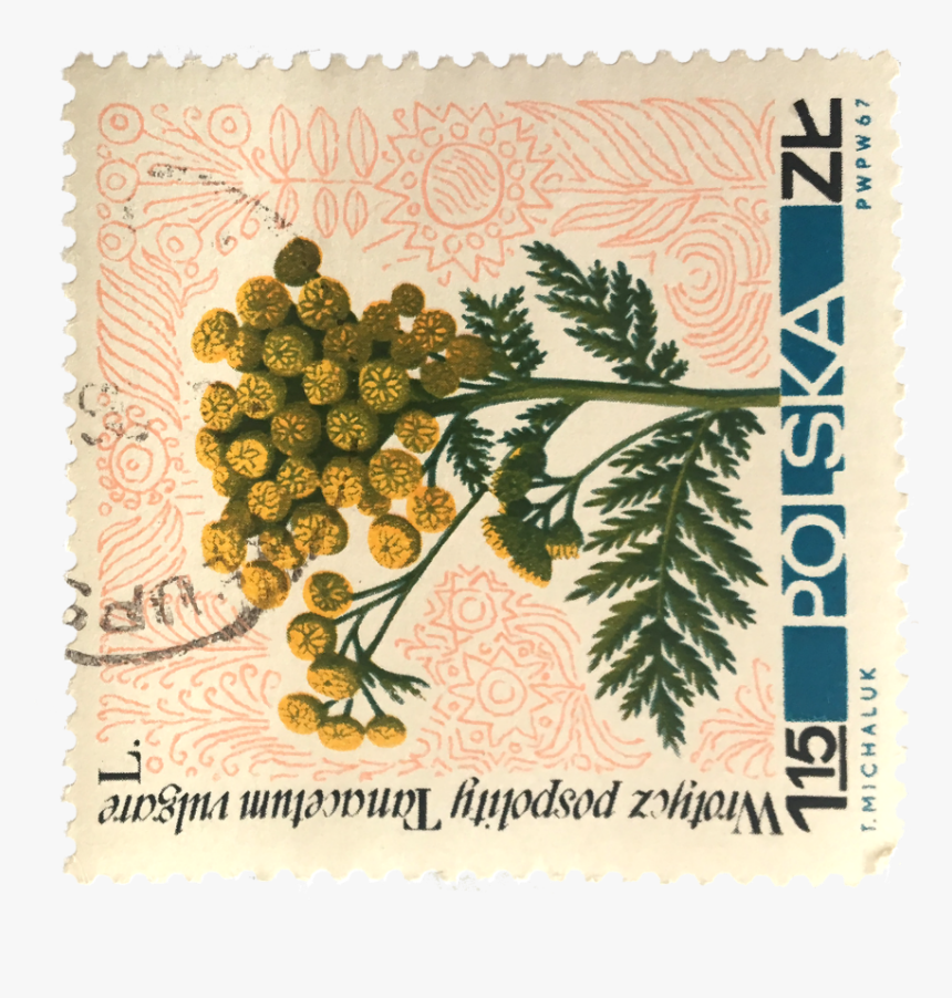 Detail Vintage Stamp Png Nomer 49