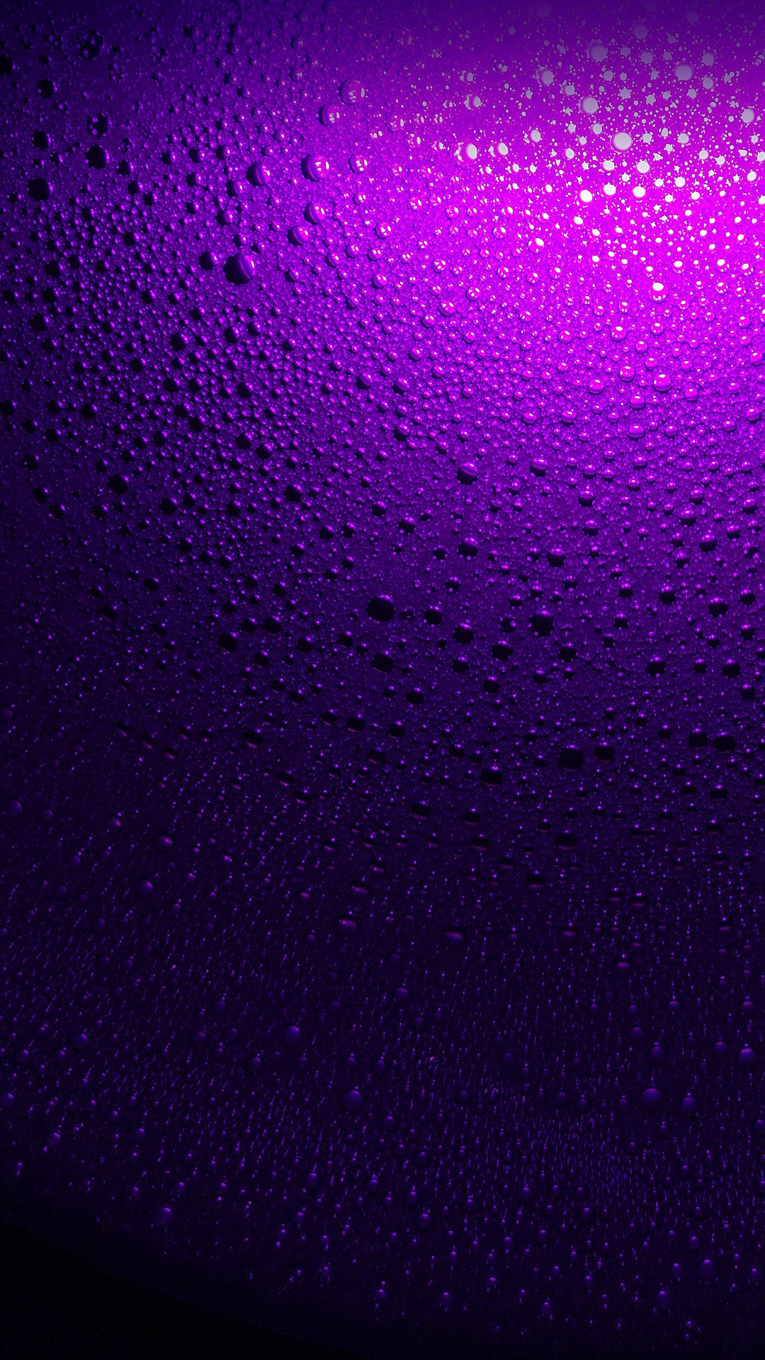 Detail Violet Wallpaper Hd Nomer 3