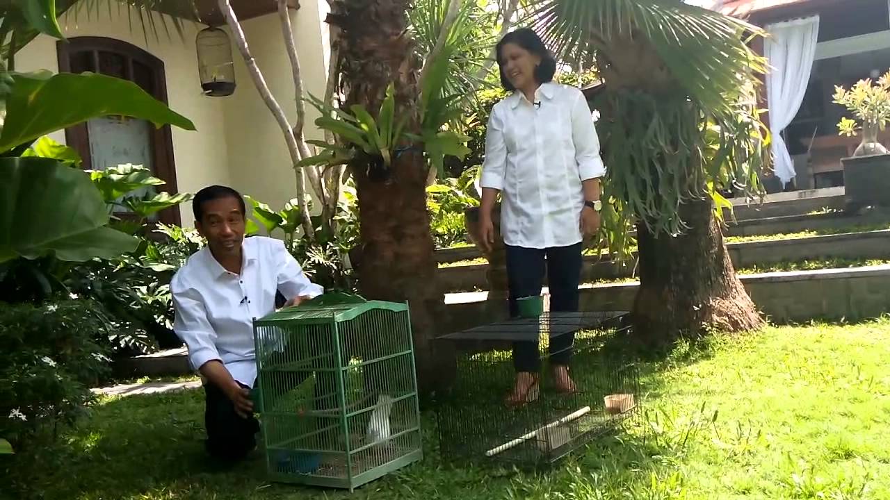 Detail Rumah Jokowi Di Solo Nomer 17