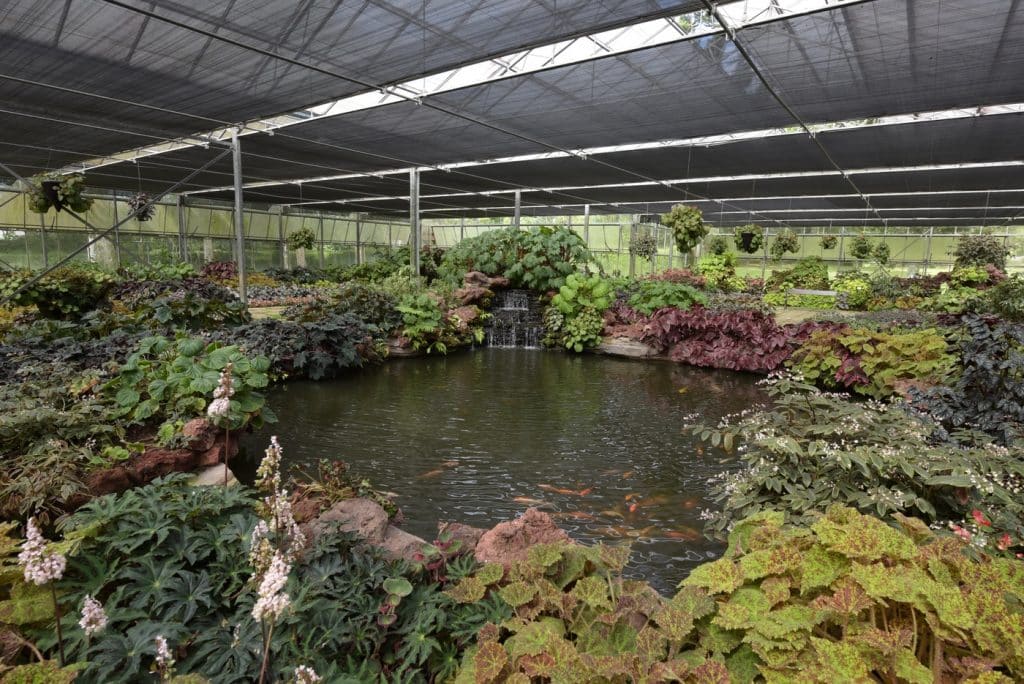Rumah Kaca Taman Bunga Nusantara - KibrisPDR
