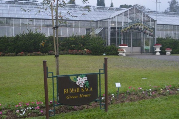 Detail Rumah Kaca Taman Bunga Nusantara Nomer 9