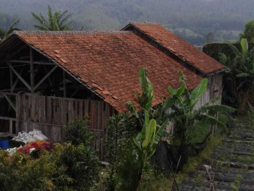 Rumah Kampung Di Jual Di Cikole Lembang Bandung - KibrisPDR