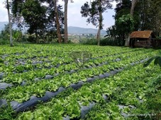 Detail Rumah Kampung Di Jual Di Cikole Lembang Bandung Nomer 51