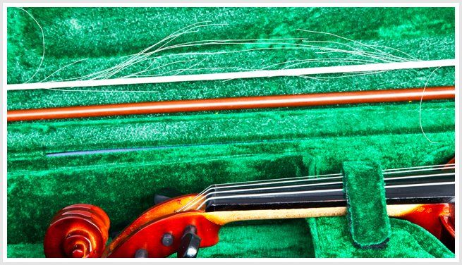 Detail Violin Bow Bugs Nomer 37