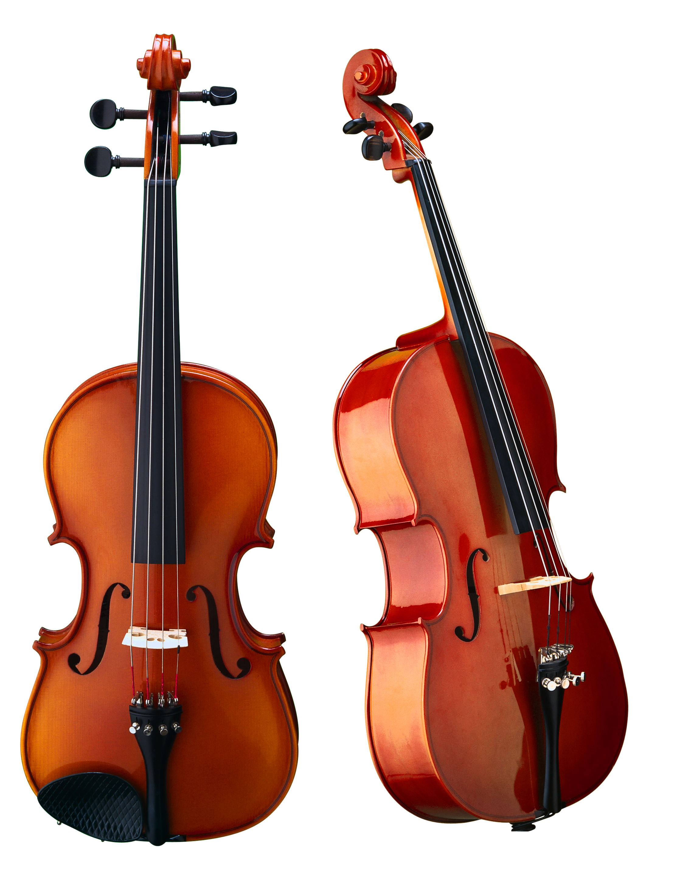 Detail Violin Hd Nomer 22
