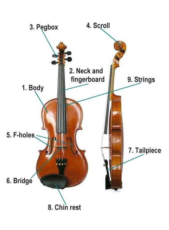 Detail Violin Image Nomer 40