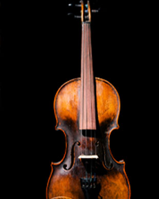 Detail Violin Image Free Nomer 32