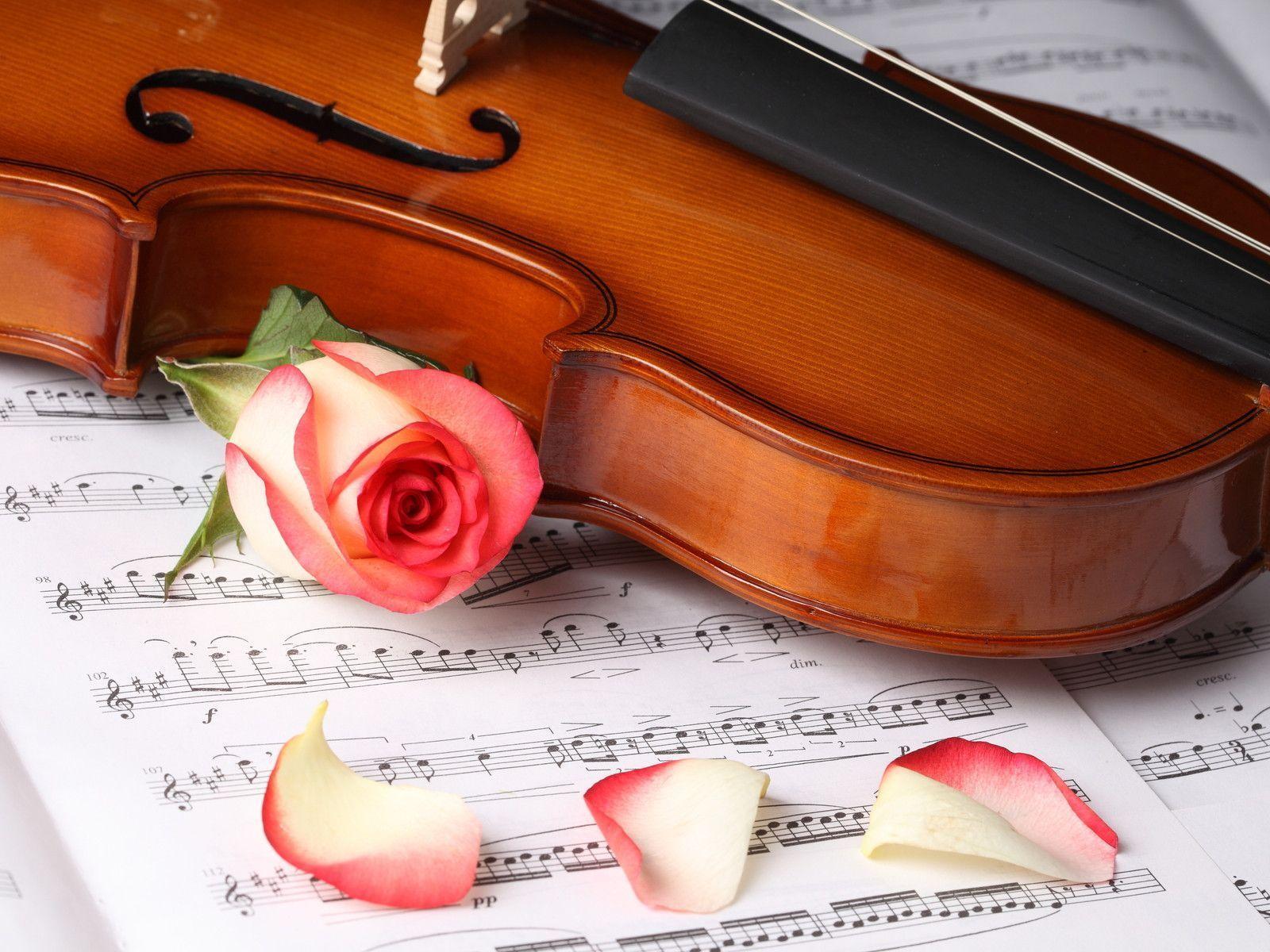 Detail Violin Images Free Download Nomer 29