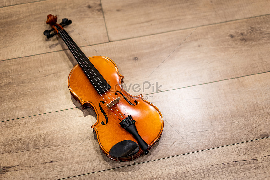 Detail Violin Images Free Download Nomer 40